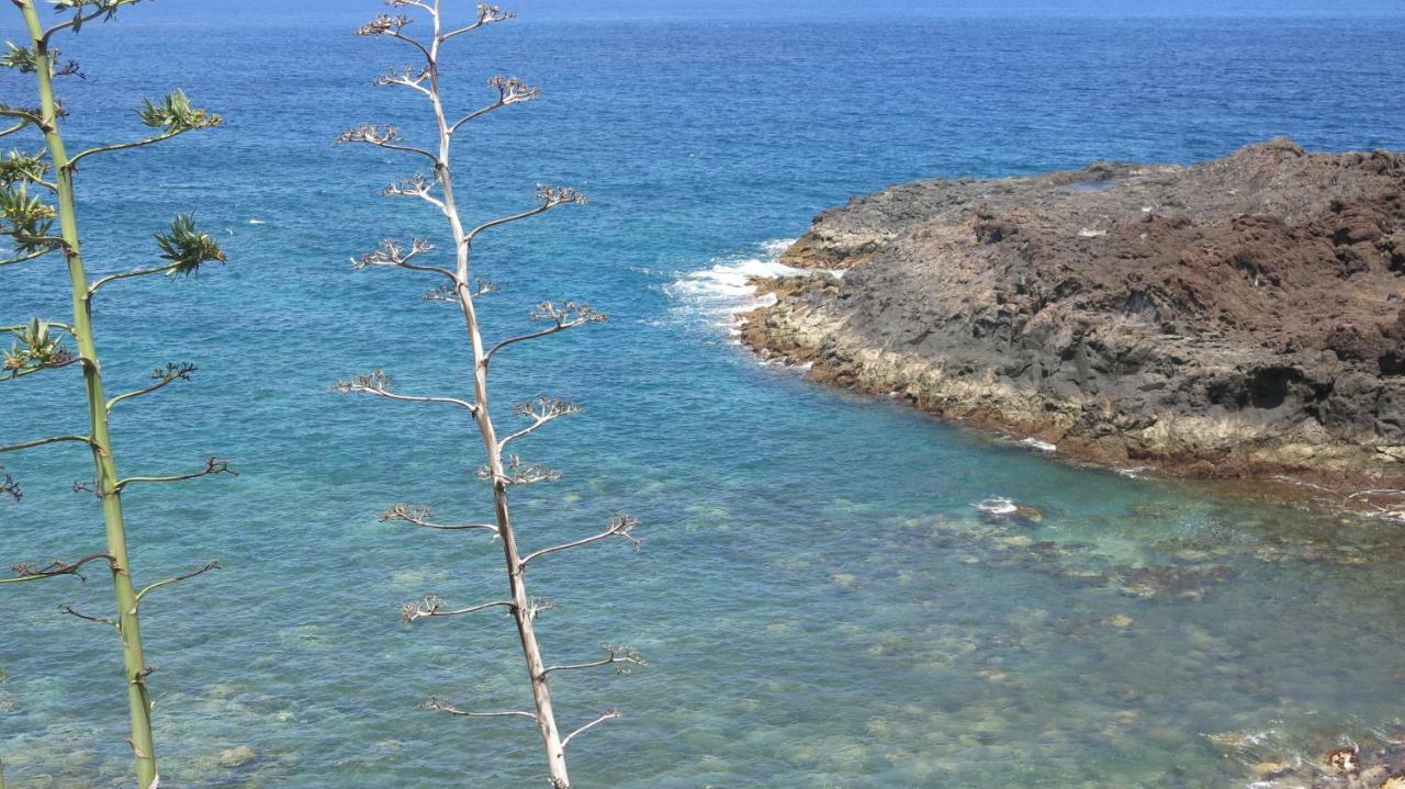 El Roque 205 - Sustainability Off The Beaten Track 타코론테 외부 사진